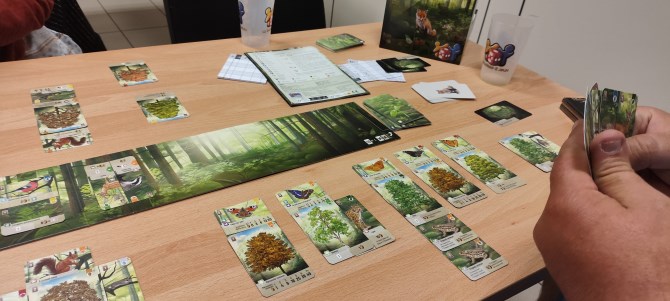 Forêt Mixte